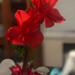 Meet your Posher, Alma